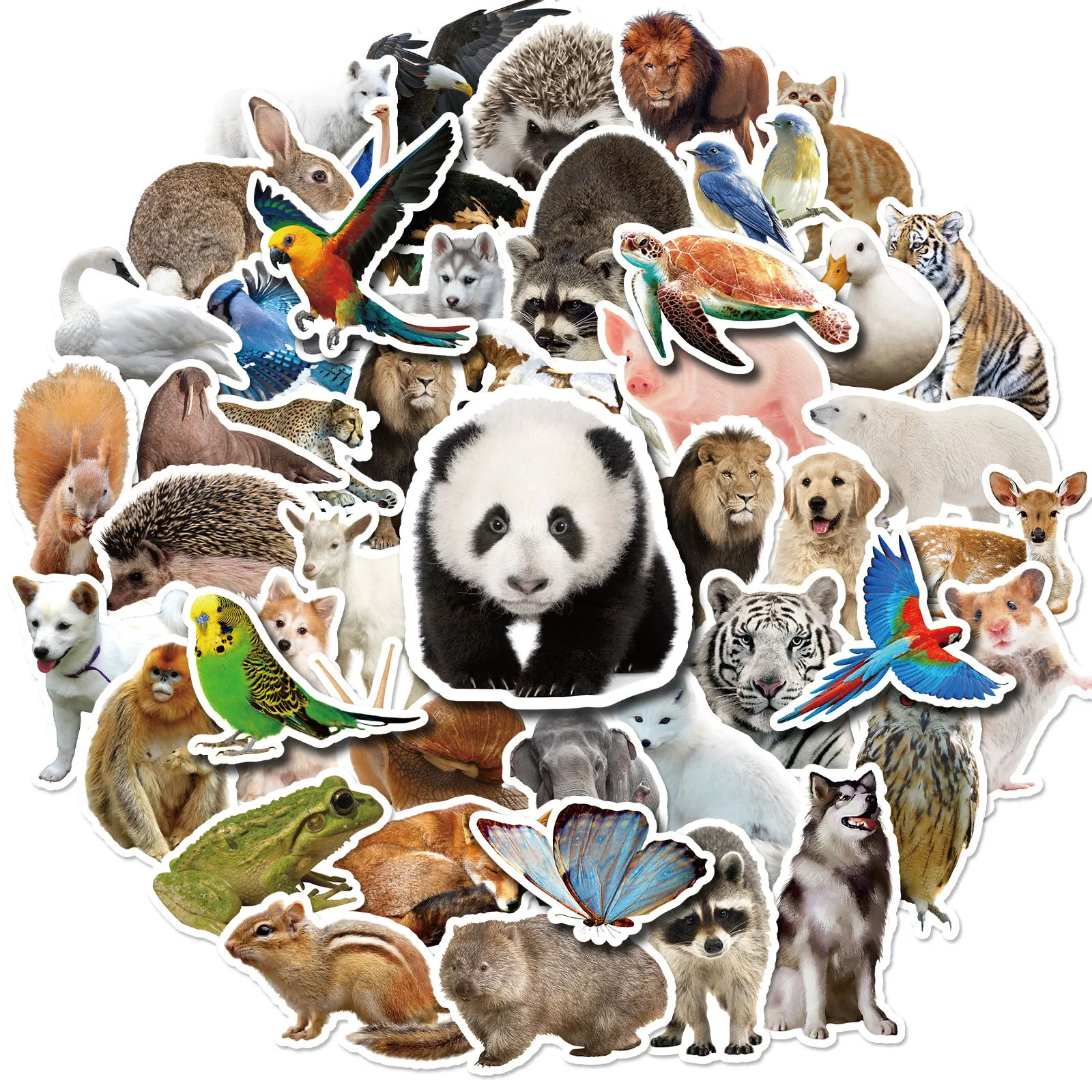 50pcs Kawaii Juokinga Panda Anime Lipdukai, Nešiojamas Mobiliojo Telefono Vandens Puodelį Riedlentė Apdailos Estetinės Lipdukas Vaikų Dovanų Nuotrauka 0