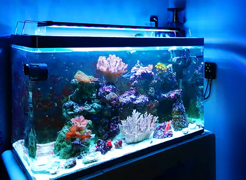 LICAH Jūrų Akvariumas LED ŠVIESOS STD-1500 Nuotrauka 2
