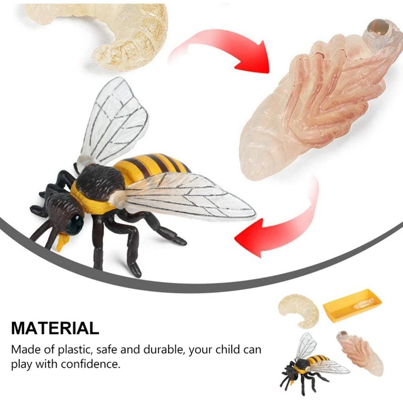 Pakuotėje 4 Vabzdžių Figūrėlės Gyvavimo Ciklo Bičių Realus Vabzdžių Duomenys Žaislai, edukologija Modelis Žaislas Nuotrauka 4