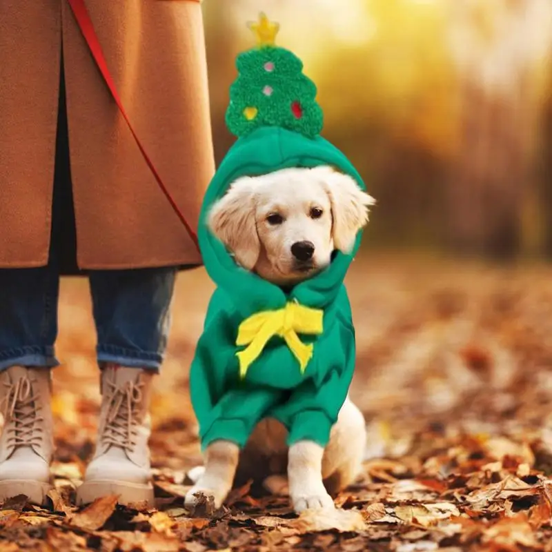Žalia Pet Hoodie Džemperis Kalėdų Šunų Drabužiai, Džemperis Šiltas Pet Šuo, Katė Ir Kalėdų Eglutė Skrybėlę Megztinis Maži Šunys Nuotrauka 4