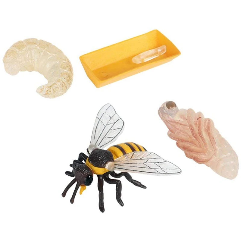Pakuotėje 4 Vabzdžių Figūrėlės Gyvavimo Ciklo Bičių Realus Vabzdžių Duomenys Žaislai, edukologija Modelis Žaislas Nuotrauka 5