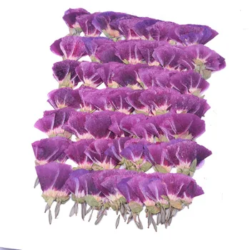 120pcs Presuotų Džiovintų Godetia amoena Gėlių, Augalų Herbariumas Papuošalai Atvirukas Žymą Telefono dėklas Pakvietimo, 