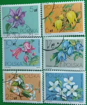 6 VNT., Lenkijoje Pašto Antspaudo,1984,Gėlių Antspaudas,Augalų Antspaudas,Spaudas Kolekcija,Naudojamas su Pašto Ženklu