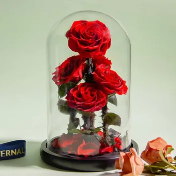 Amžinas Konservuoti Rožės Stiklo Kupolas 5 Žiedų Galvučių Rožių Amžinai Meilės, Vestuvių Naudai Valentino Dienos Dovanos Moterims Draugės