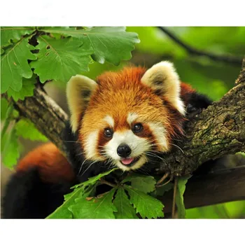 Kvadratiniu/apvalus Deimantas Siuvinėjimo Gyvūnų Raudona Panda 
