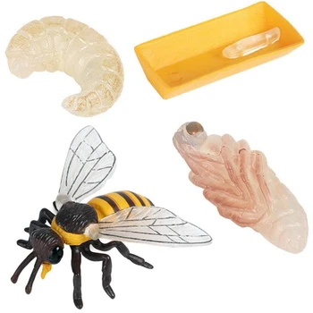 Pakuotėje 4 Vabzdžių Figūrėlės Gyvavimo Ciklo Bičių Realus Vabzdžių Duomenys Žaislai, edukologija Modelis Žaislas