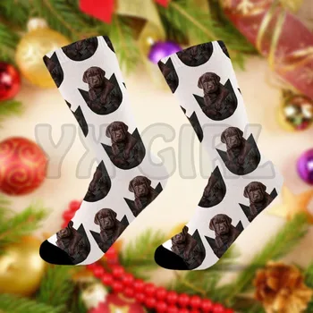 Šokoladinis Labradoro Retriveris Kišenėje Kojinės 3d Atspausdintas kojinės Aukštos Kojinės Vyrams, Moterims, aukštos kokybės ilgos kojinės Naujovė kojinės
